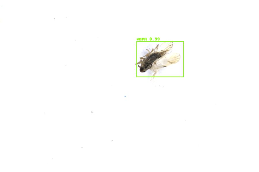 Image 21